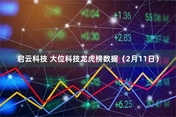 启云科技 大位科技龙虎榜数据（2月11日）